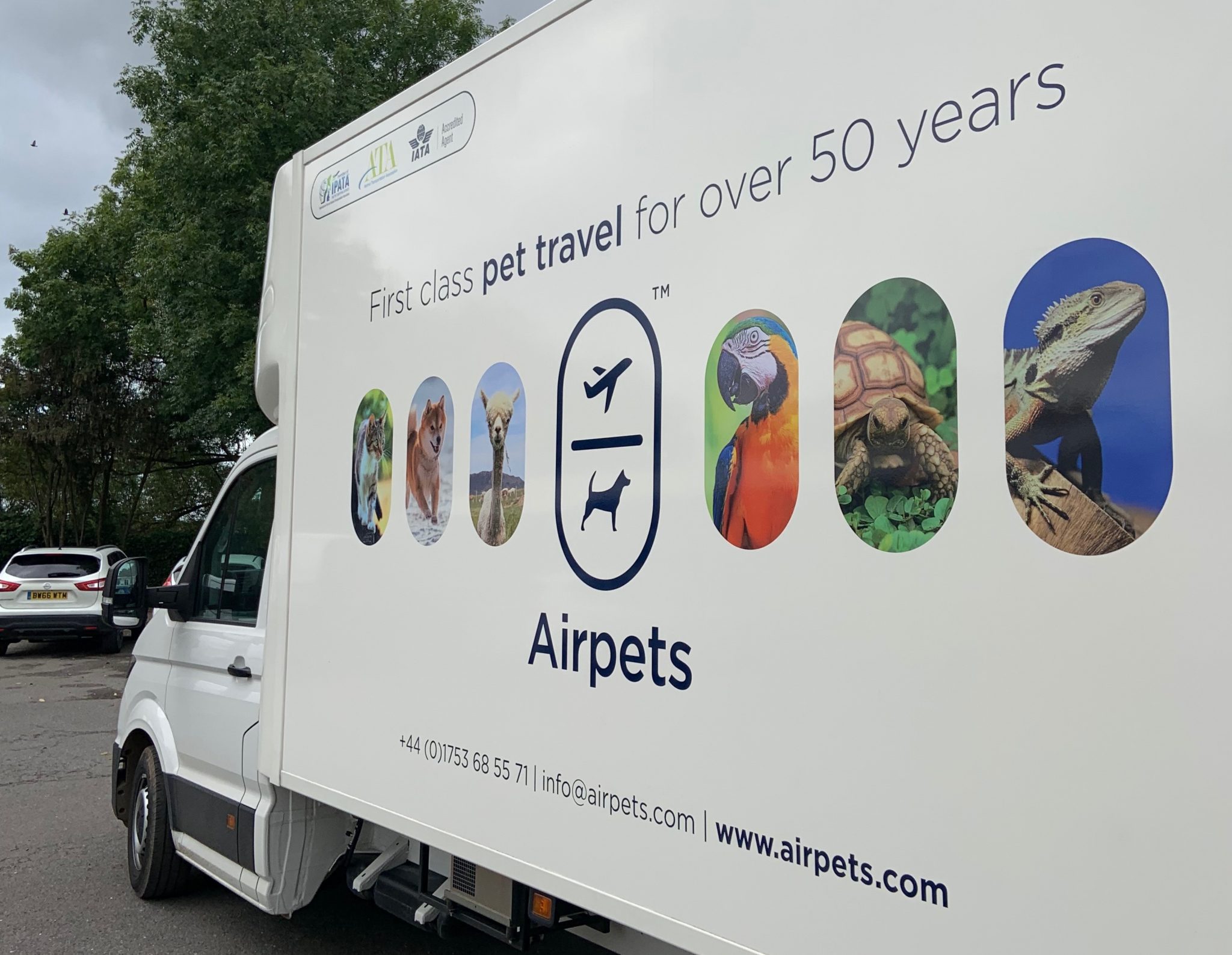 Introducing The Best Transport Fleet for Your Pets - Airpets