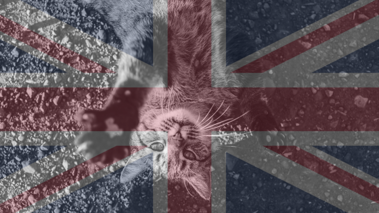 brexit pet travel