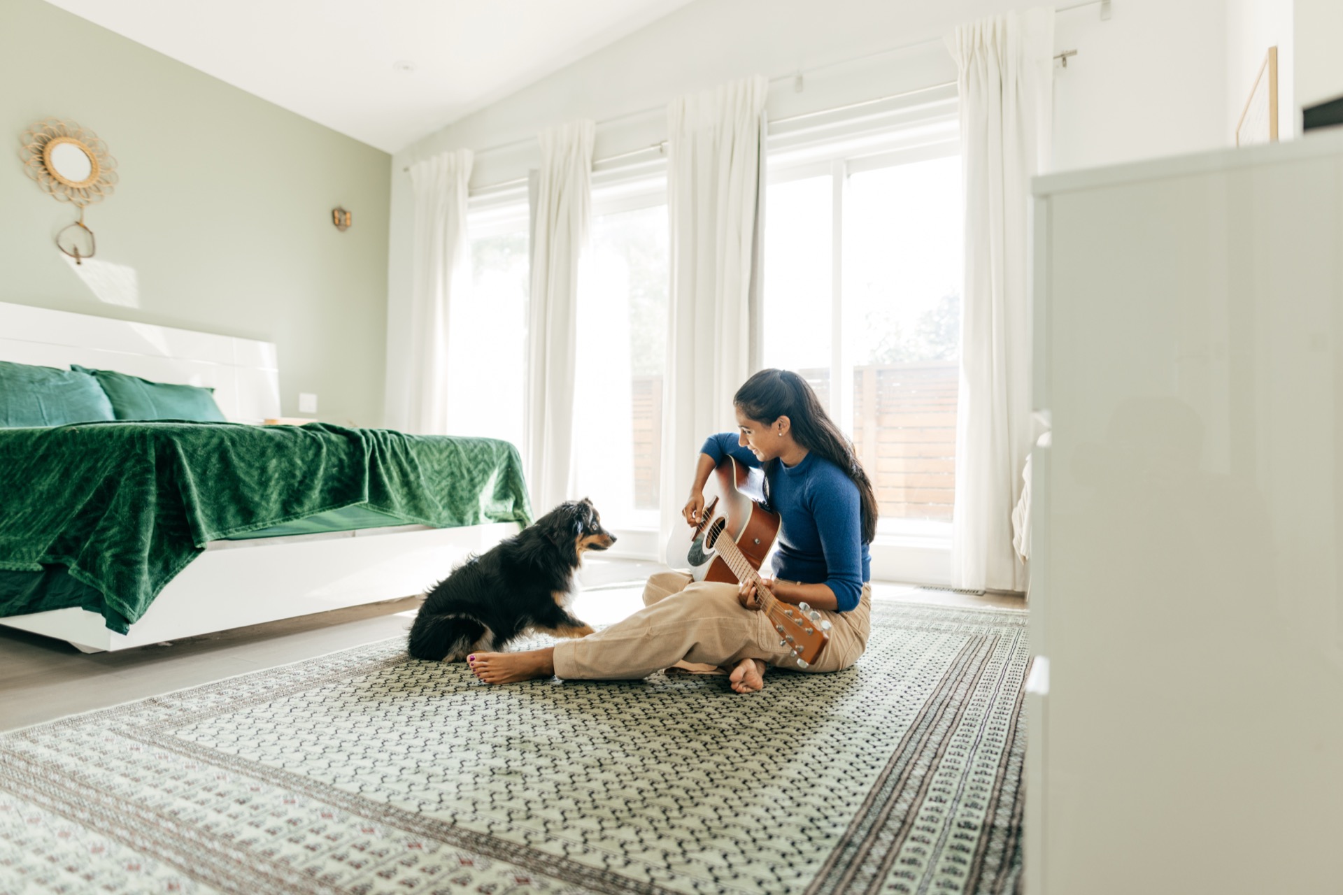 How Much Does It Cost | Canine Transport Services