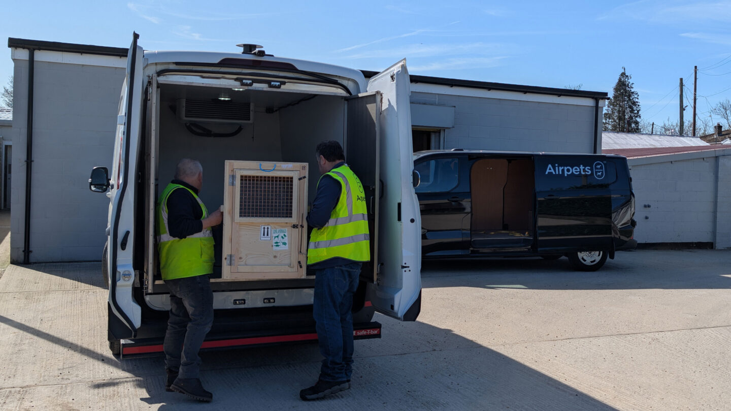 Airpets team loading wooden pet travel crate into van for safe animal transport
