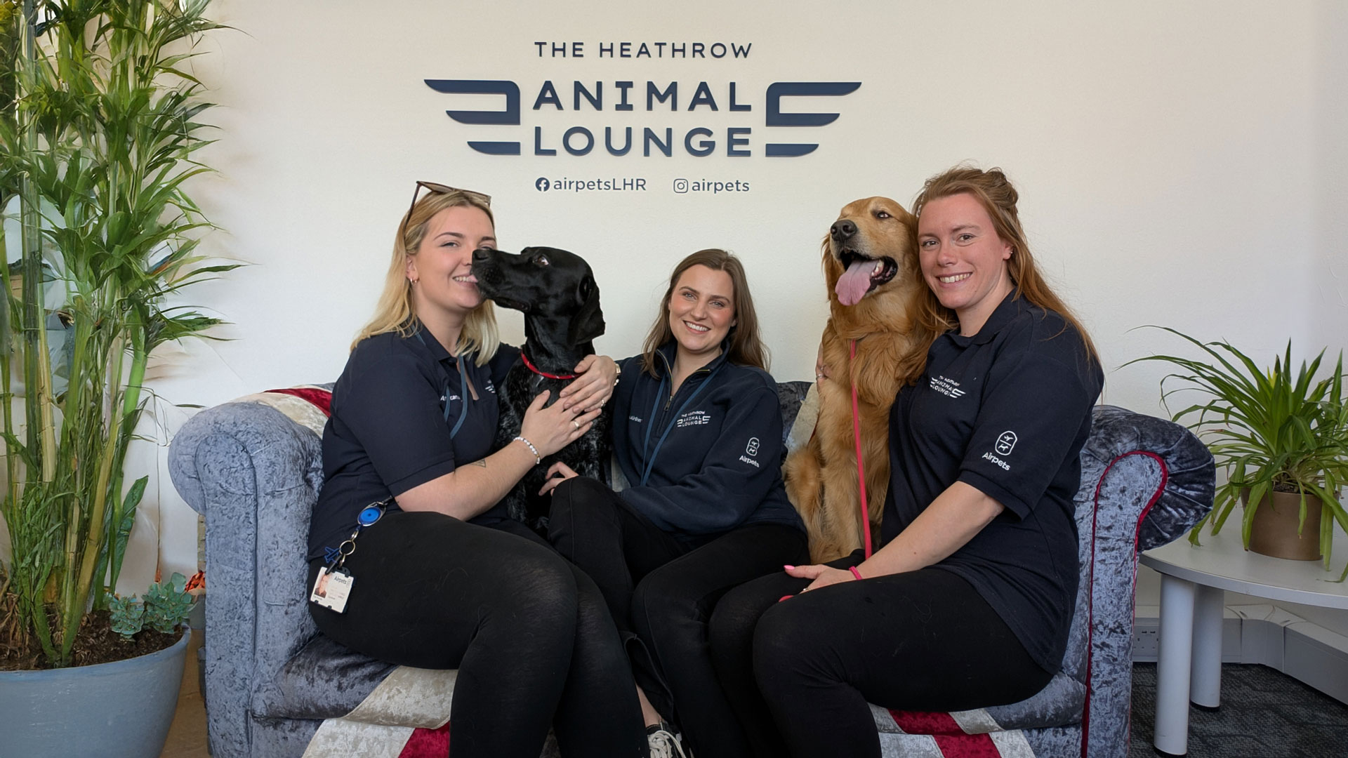 Social Kennel: FAQs, BTS and a Flight Full of Axolotls
