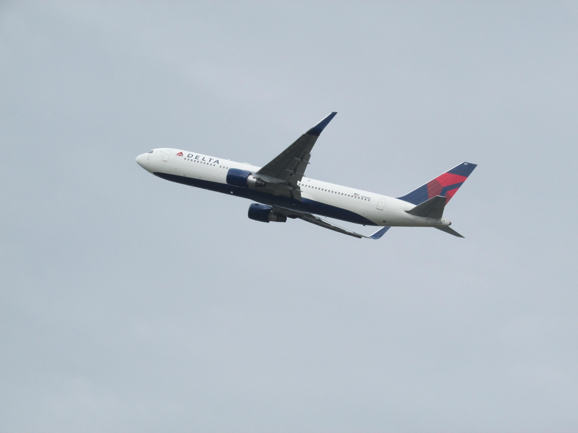 Why Our Location near Heathrow Matters When Using a Pet Transport Company
